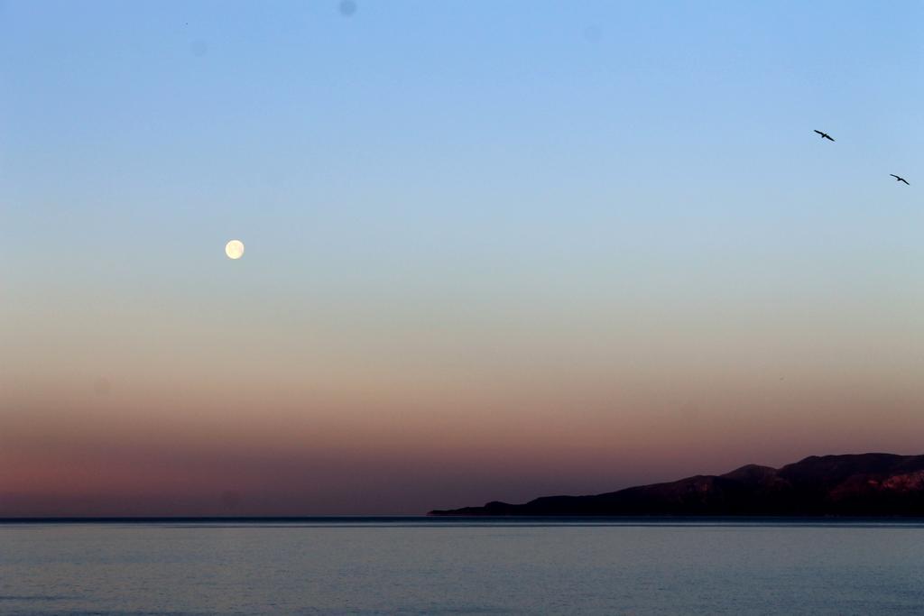 مبيت وإفطار Il Vecchio E Il Mare ماراتييا المظهر الخارجي الصورة